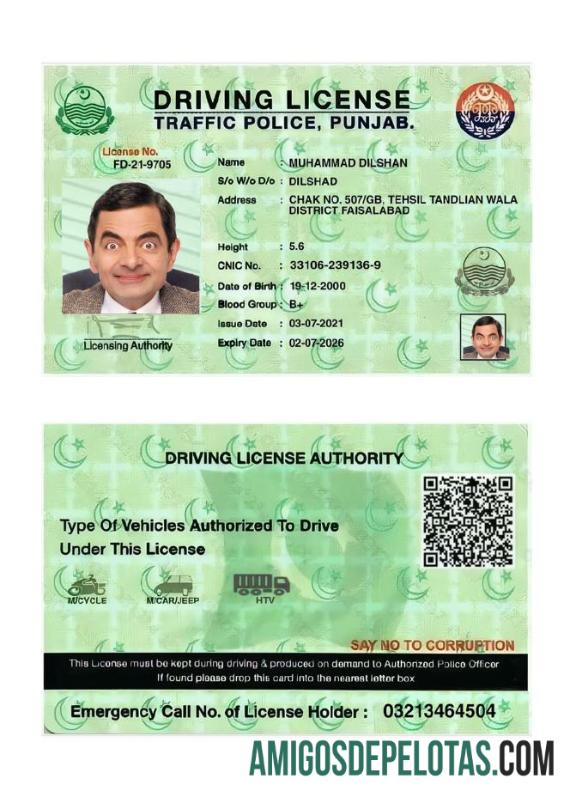 Carta de condução de Punjab na Índia 2021 presente exemplo